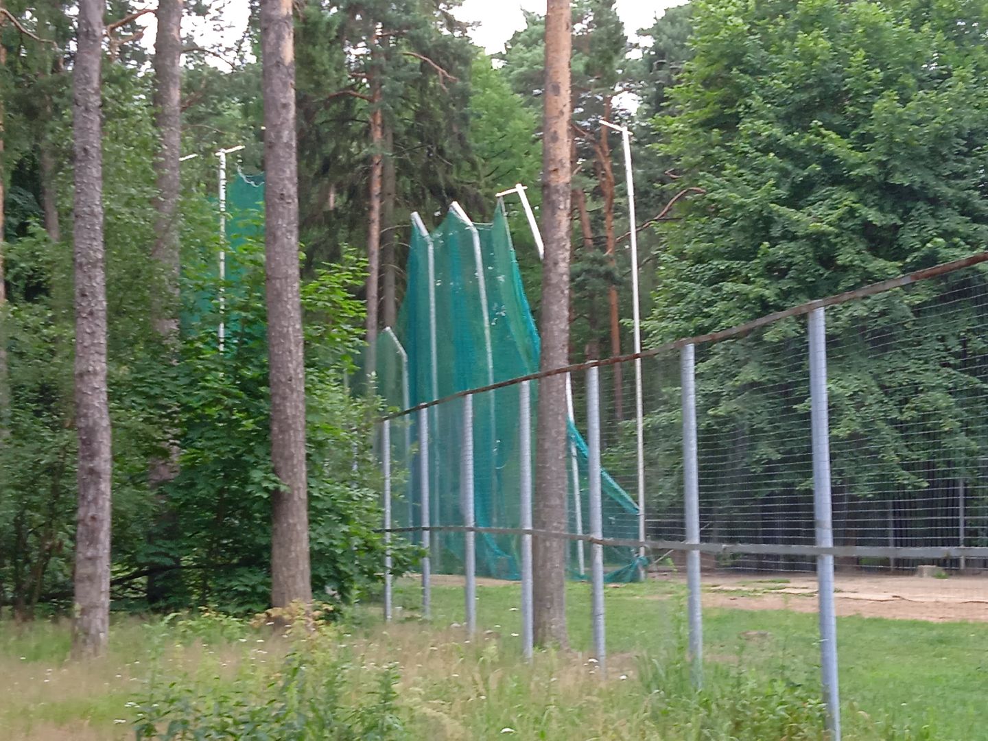 тела, трупы, парк, следственный, комитет