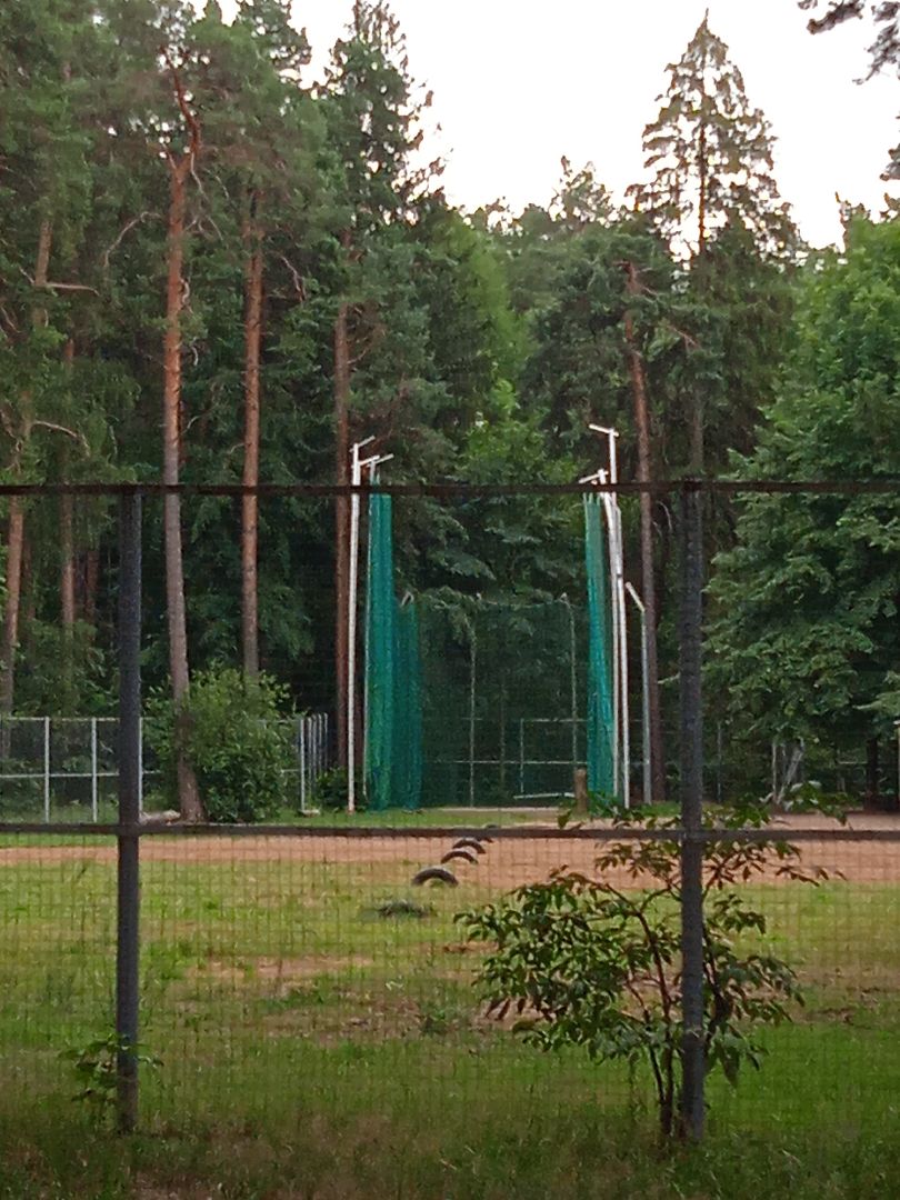 тела, трупы, парк, следственный, комитет