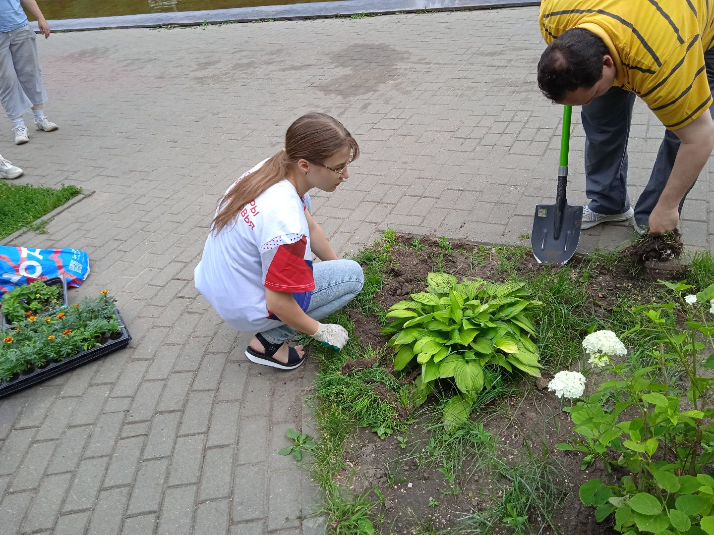Город-сад, движение, молодая гвардия, волонтёры, растения