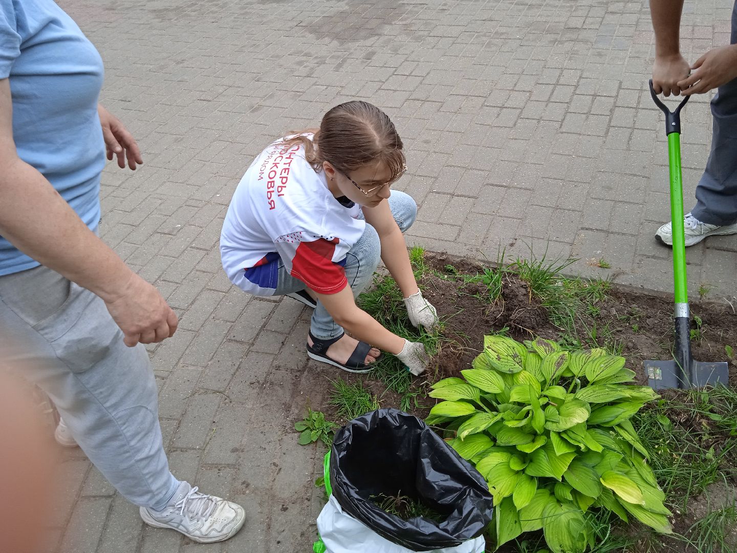 Город-сад, движение, молодая гвардия, волонтёры, растения