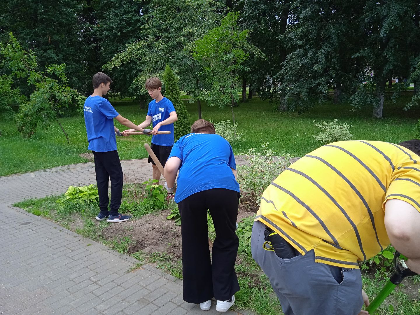 Город-сад, движение, молодая гвардия, волонтёры, растения