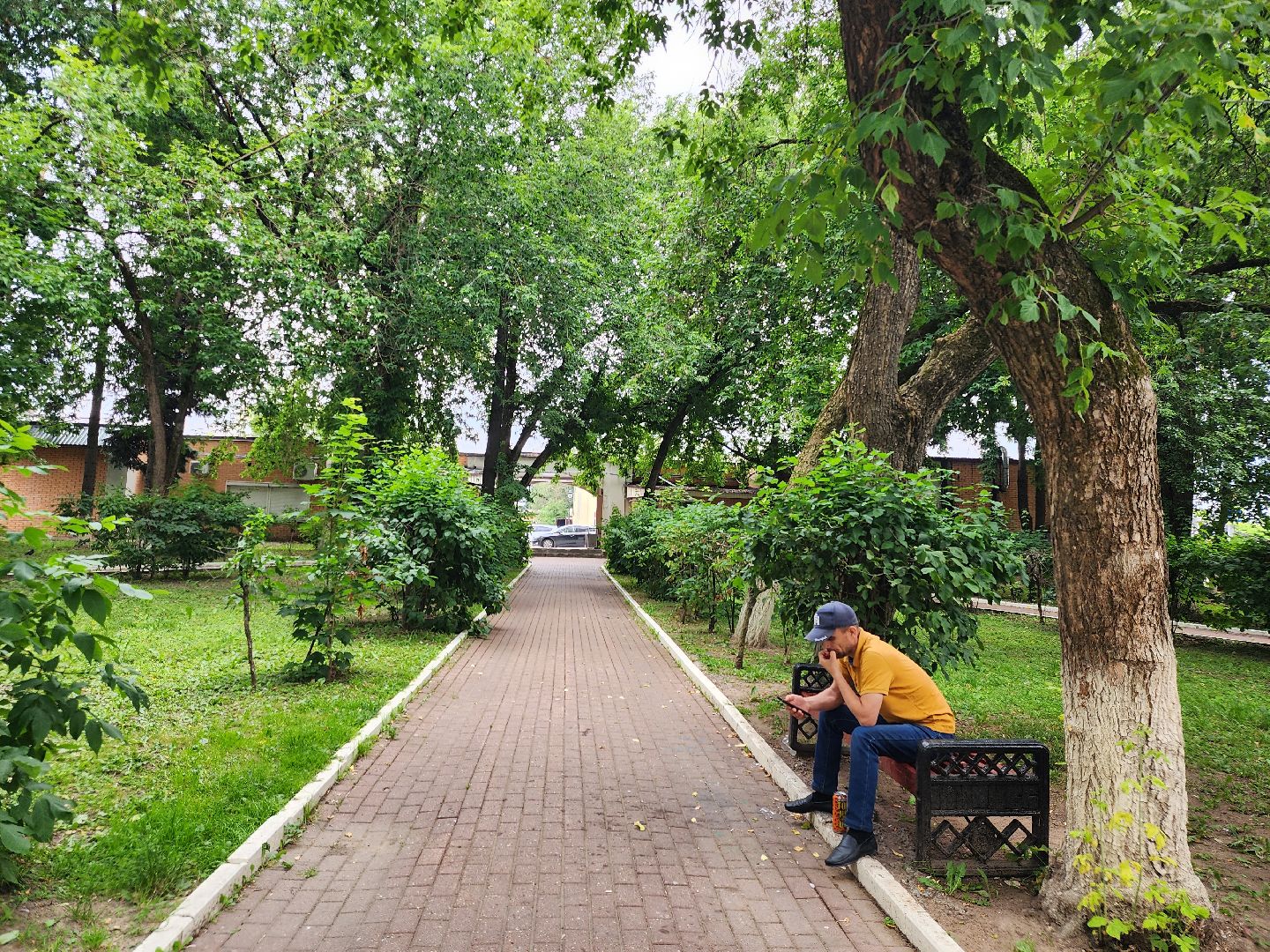 Звенигород, кинематограф, сериал