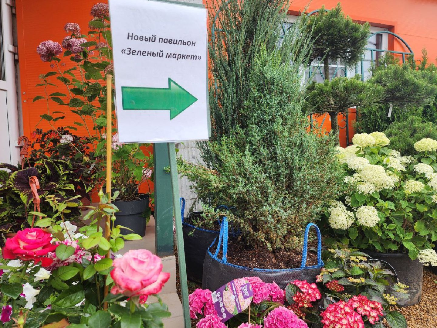 Дмитров, Мастера сада, Фестиваль MasteraSadaFest