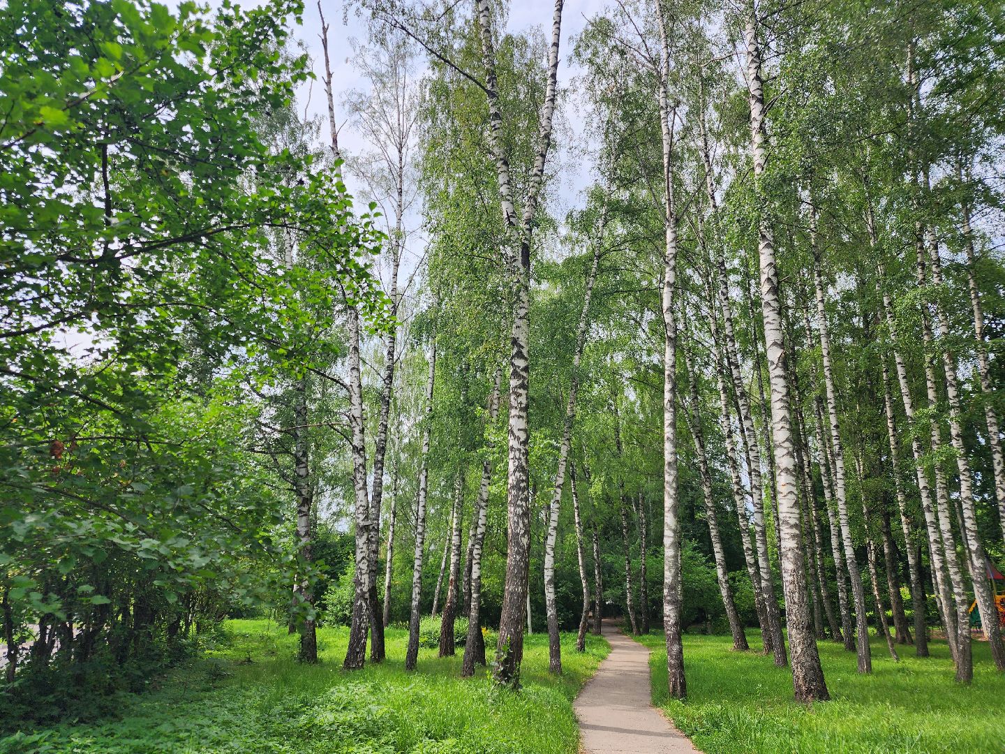 Звенигород, Активное долголетие, туризм, по живописным местам Подмосковья, Андрей Воробьев