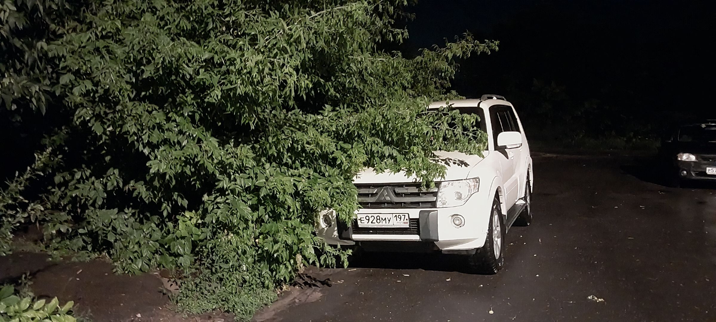 Коломна, ЧП, грозовой фронт