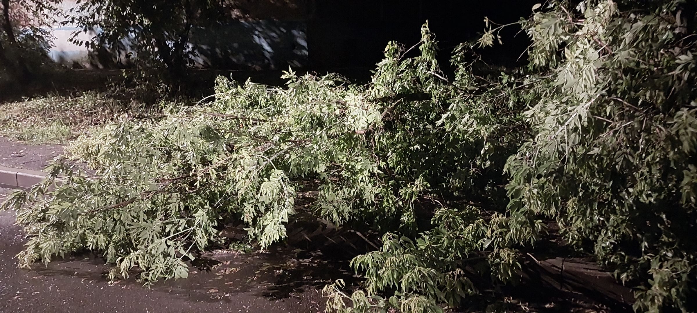 Коломна, ЧП, грозовой фронт