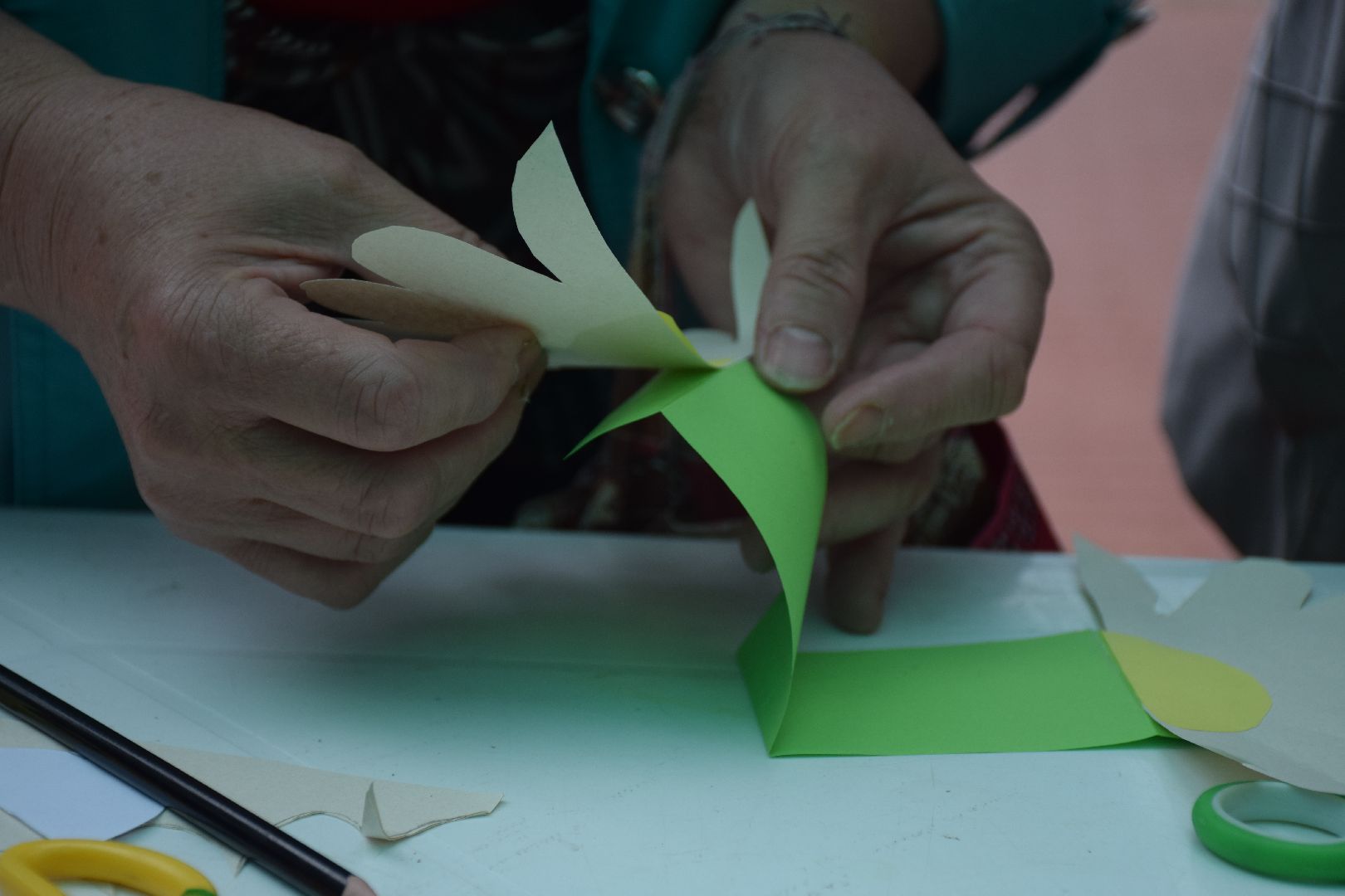 Павловский Посад, городской округ Павловский Посад, парк, дети, образование, день семьи, ромашка