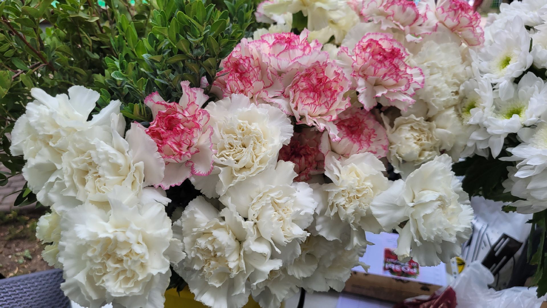 цветы; занятия; видное; парки подмосковья