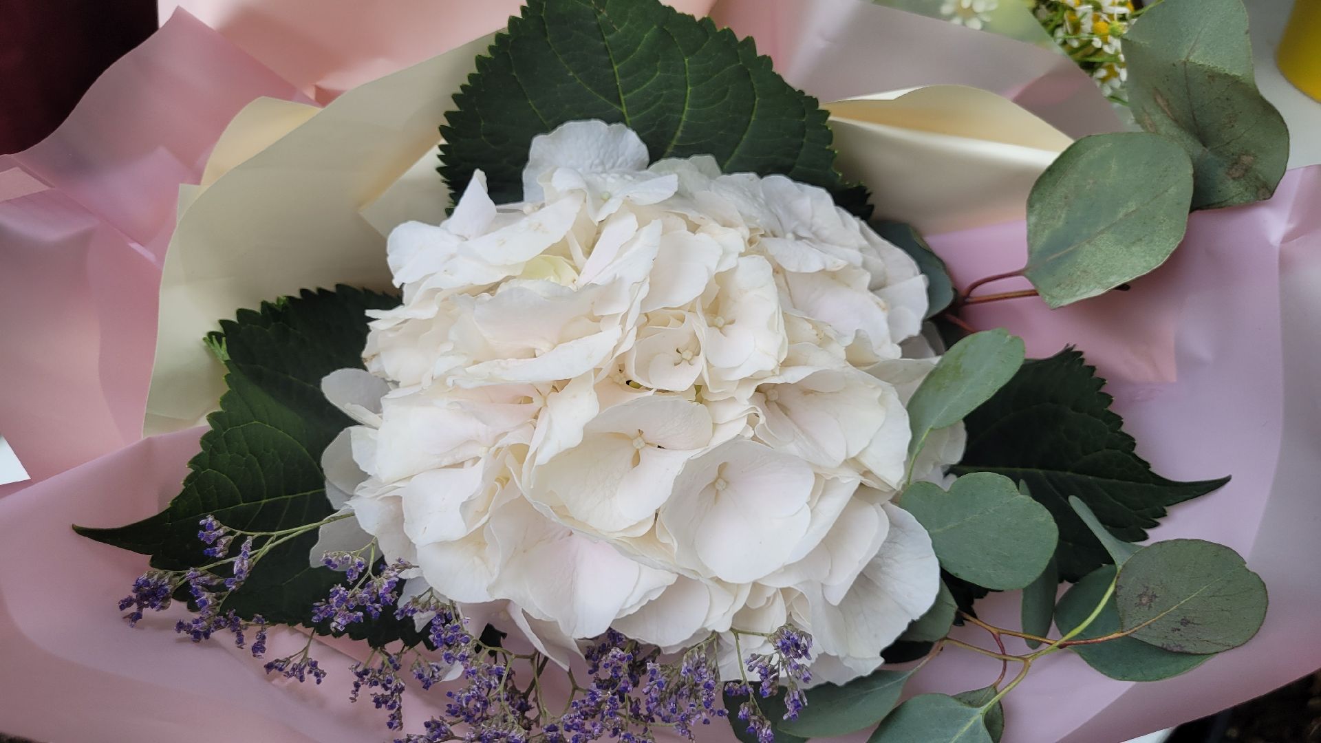 цветы; занятия; видное; парки подмосковья