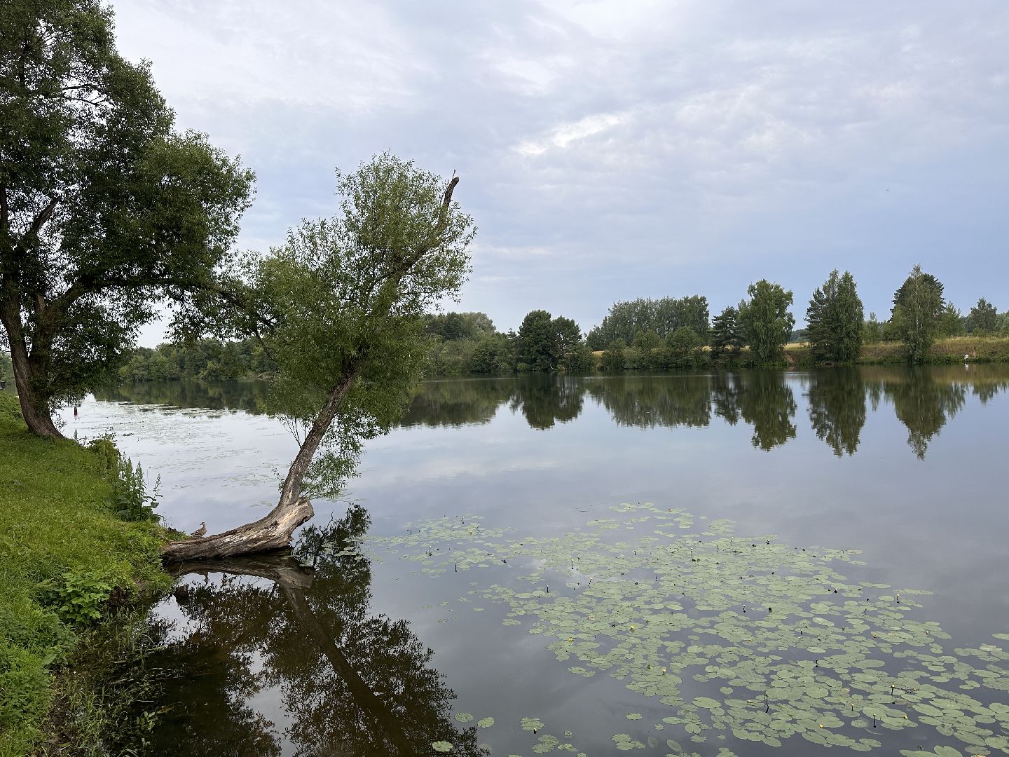 Одинцово, Парки Подмосковья, Отражение, Йога