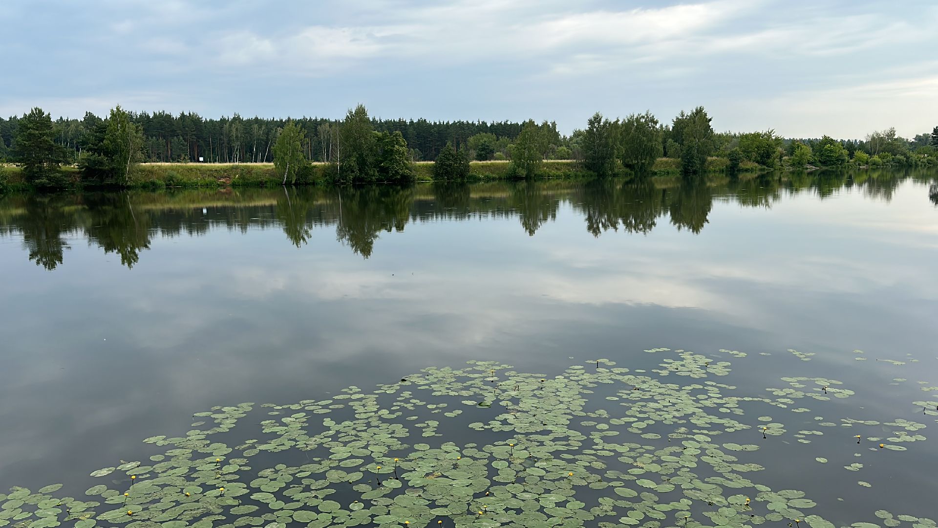 Одинцово, Парки Подмосковья, Отражение, Йога