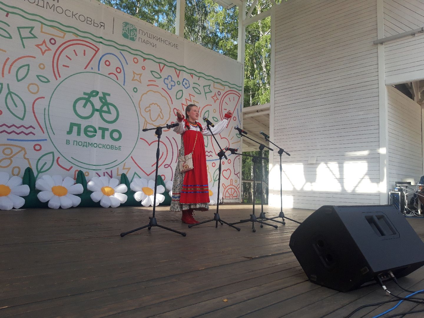 концерт, доброе дело, лето в подмосковье,