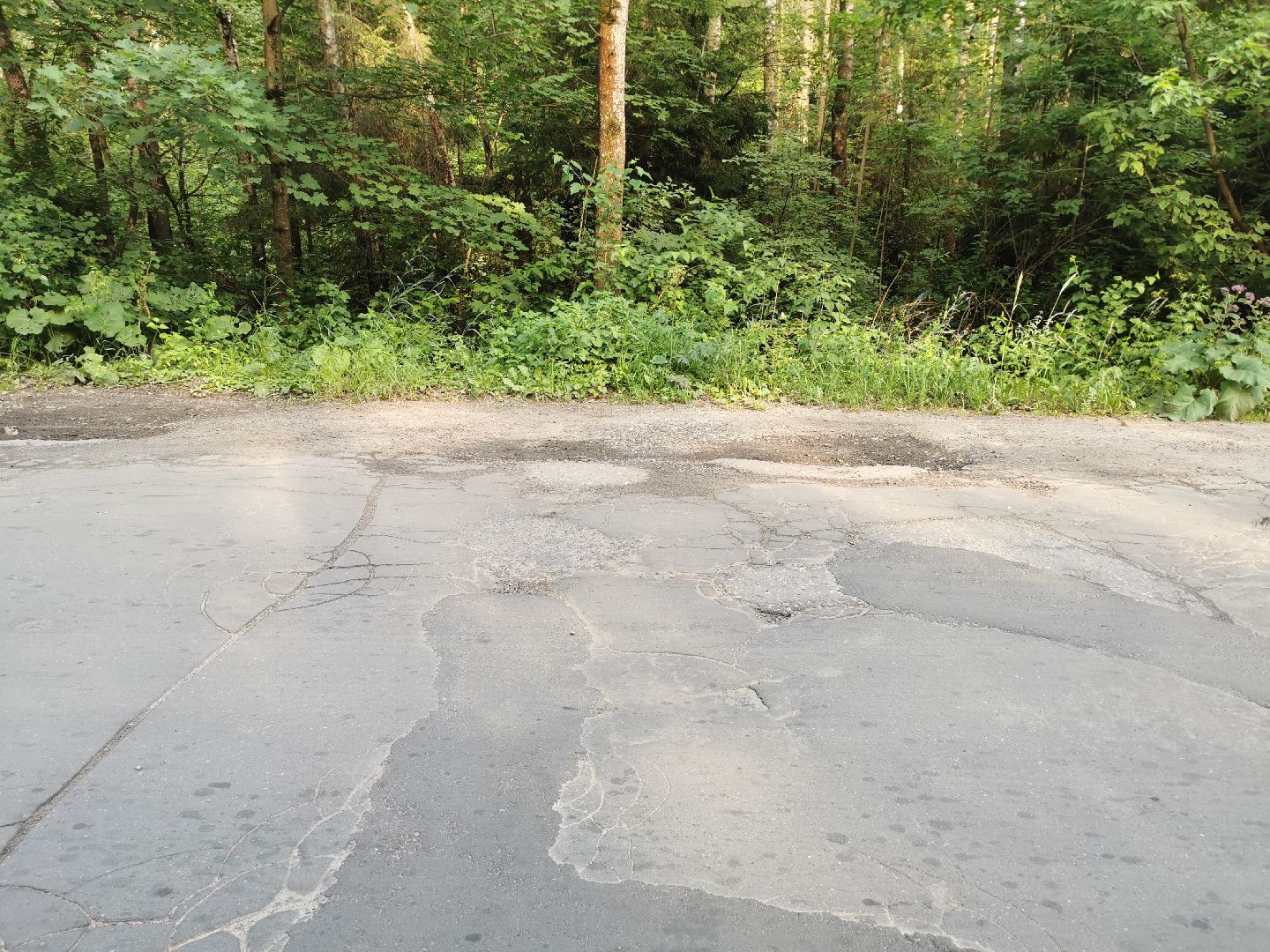 благоустройство, голосование, добродел,