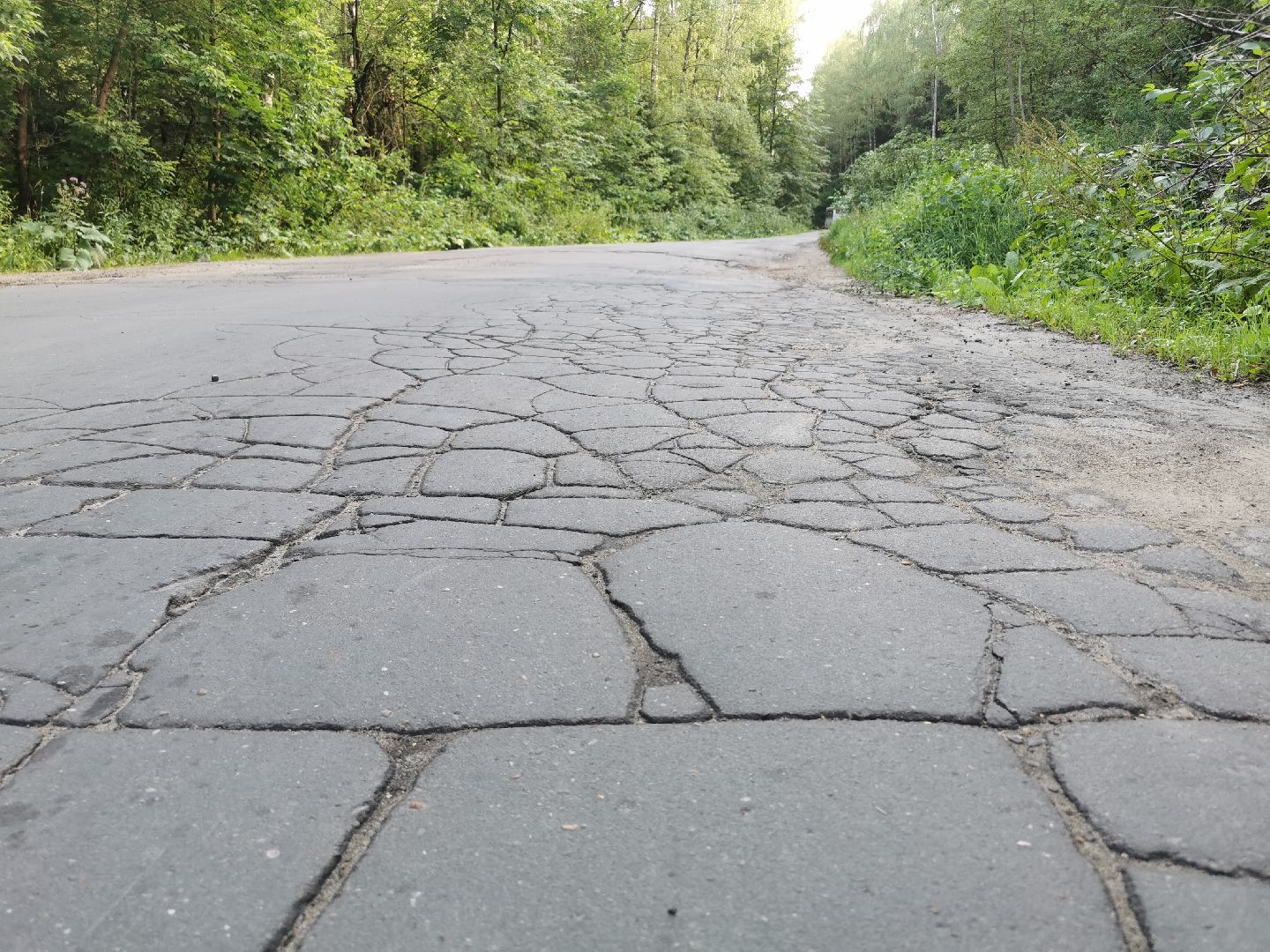 благоустройство, голосование, добродел,