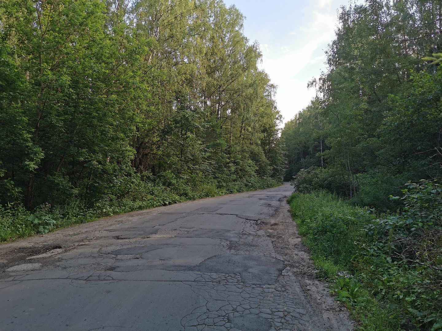 благоустройство, голосование, добродел,