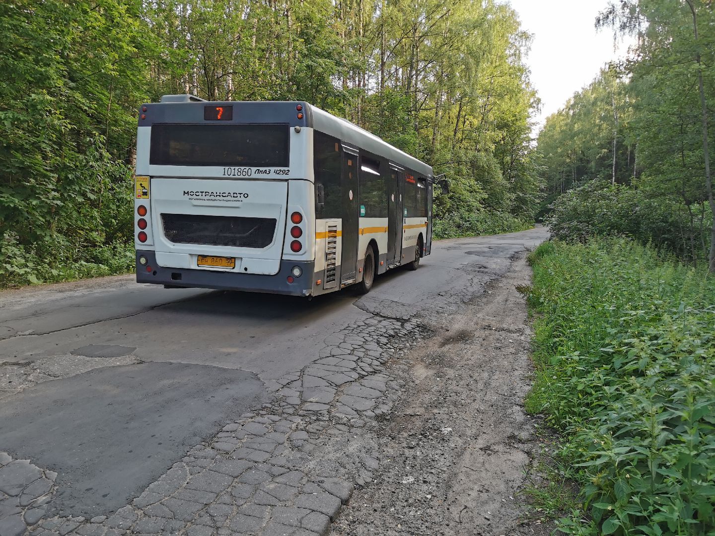 благоустройство, голосование, добродел,
