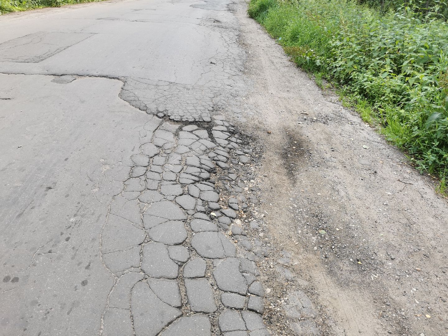 благоустройство, голосование, добродел,