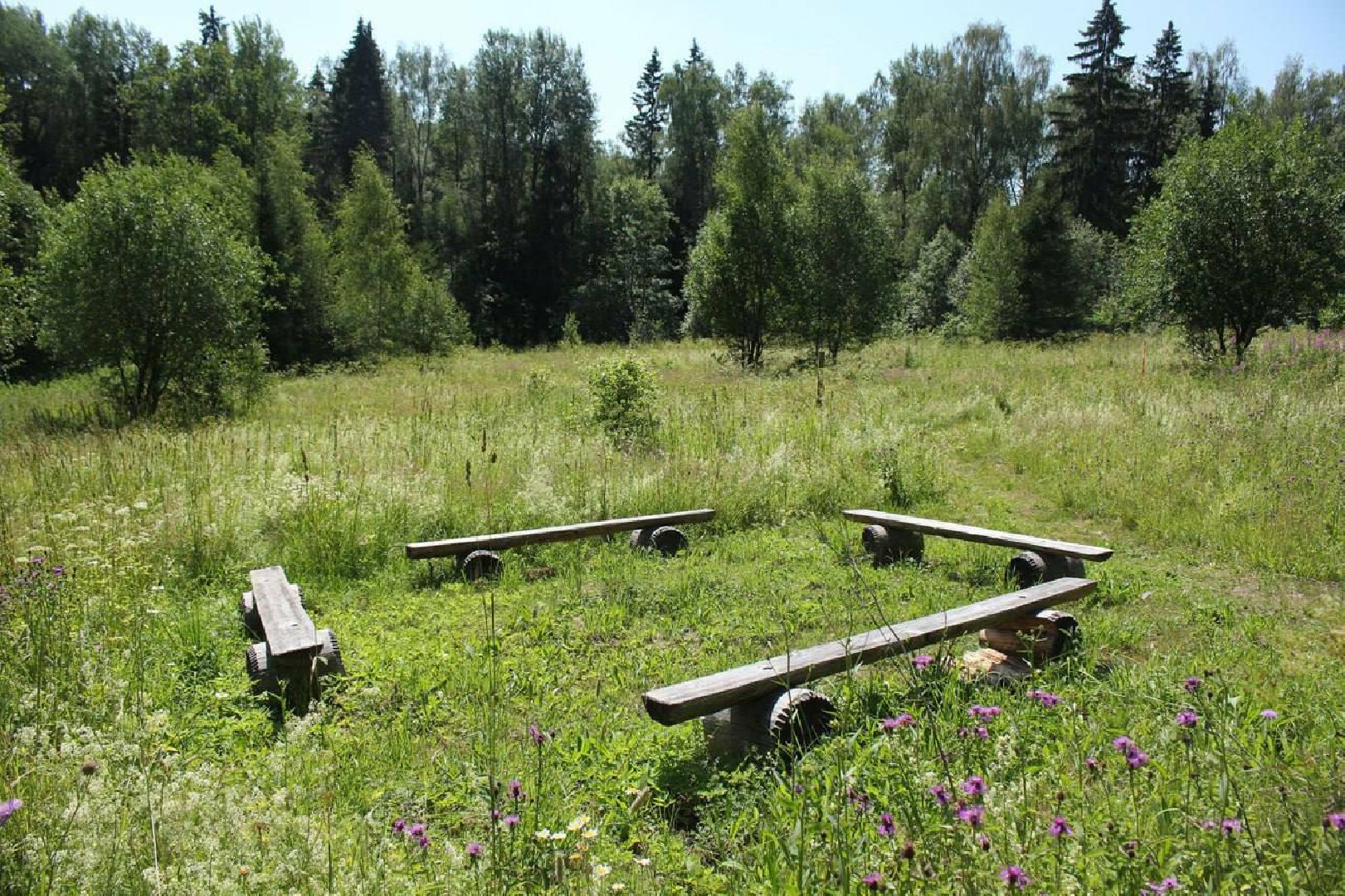 Солнечногорск, Шахматово, туризм, Блок, экотропа