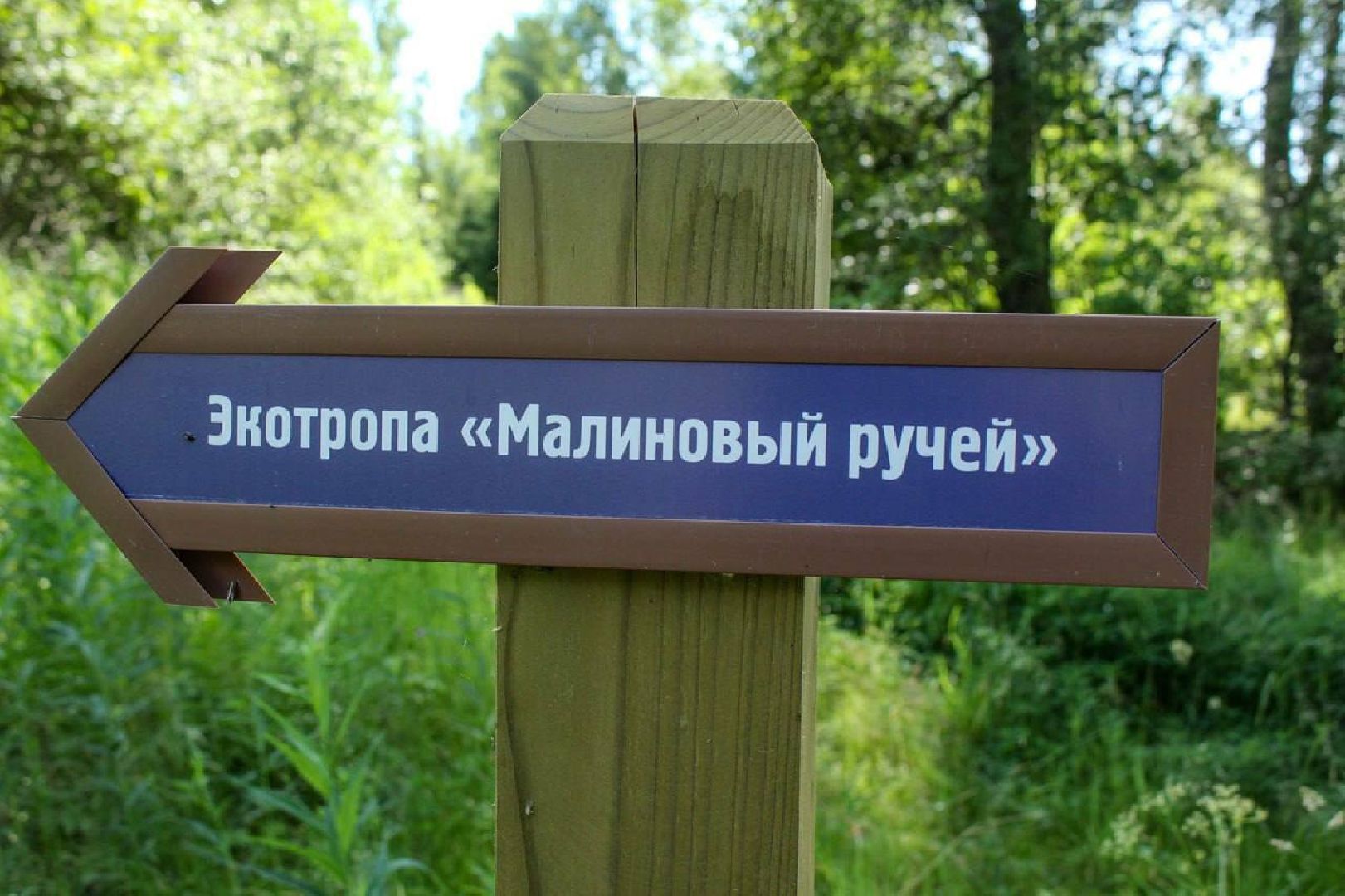 Солнечногорск, Шахматово, туризм, Блок, экотропа