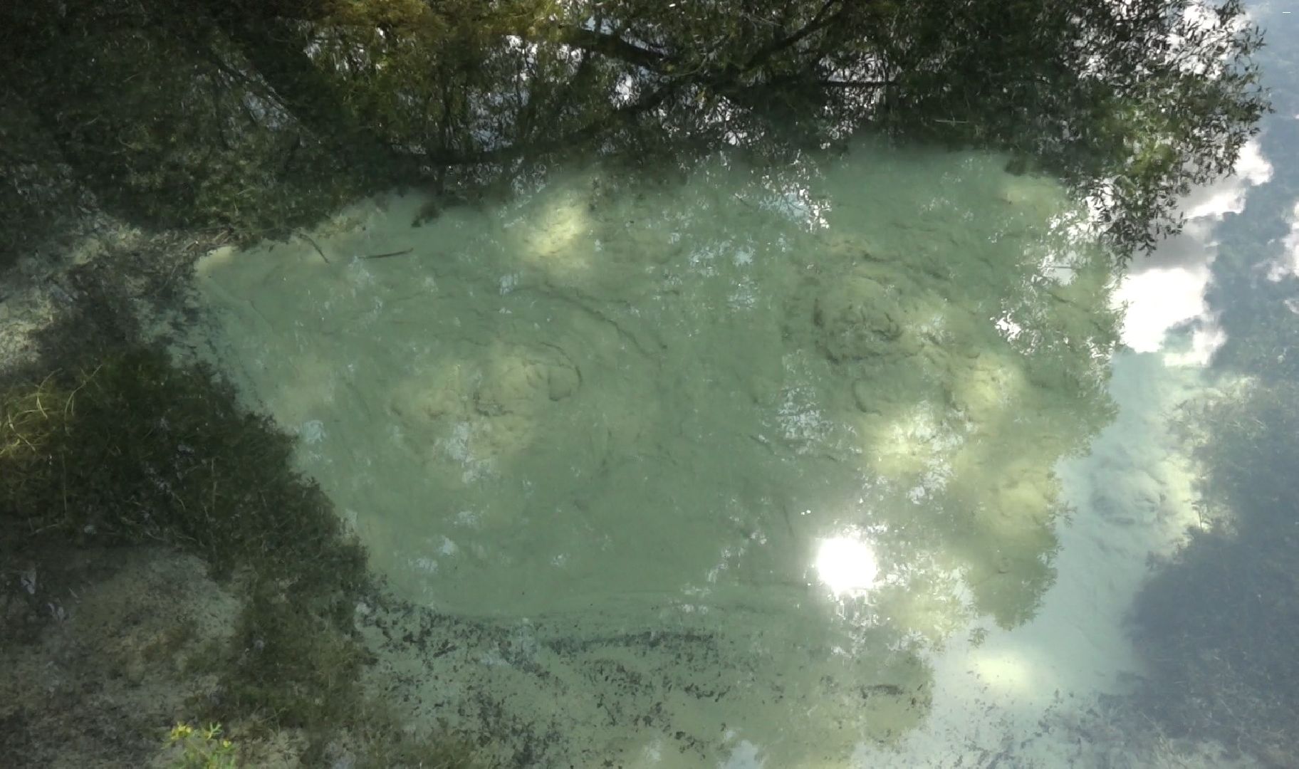 Лечение зависимости, Домодедово