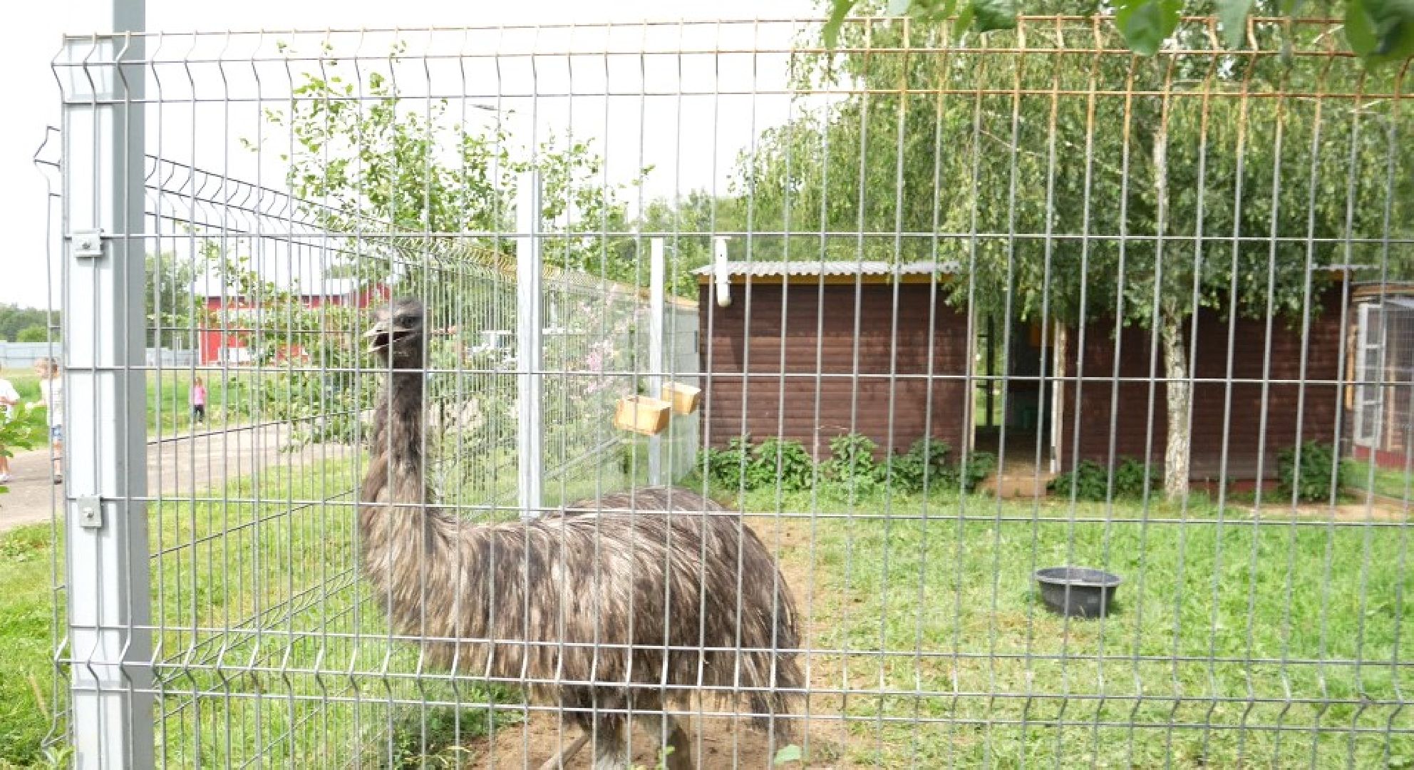 Туристическая экскурсия, Домодедово
