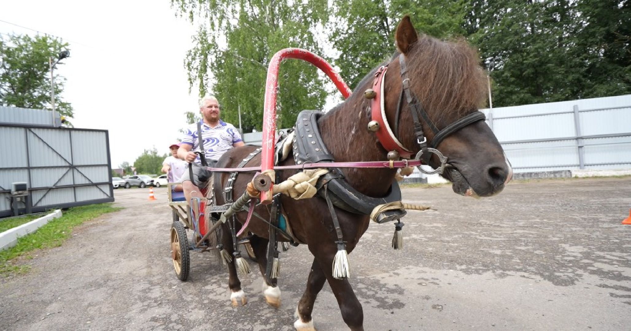 Туристическая экскурсия, Домодедово