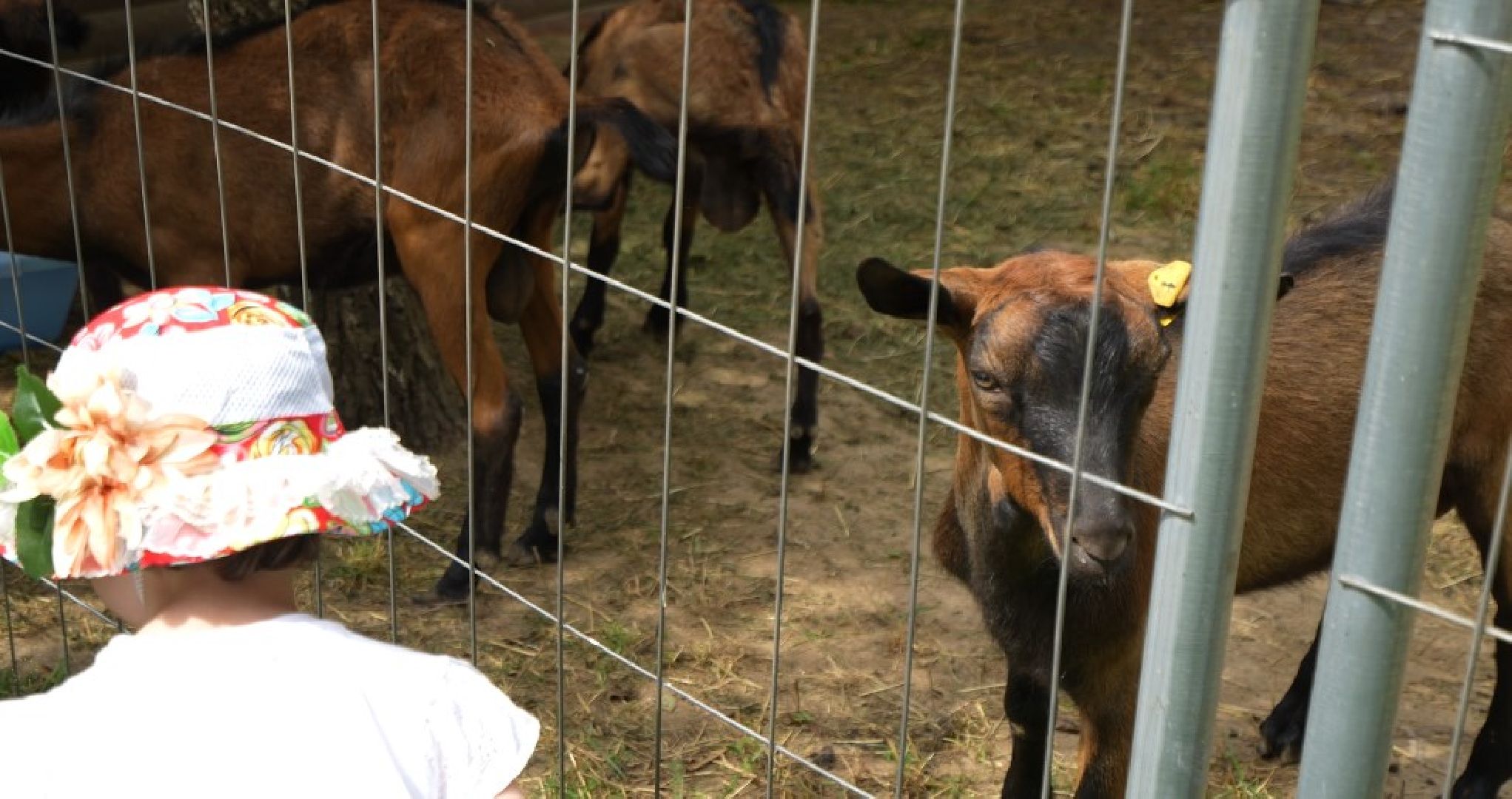 Туристическая экскурсия, Домодедово
