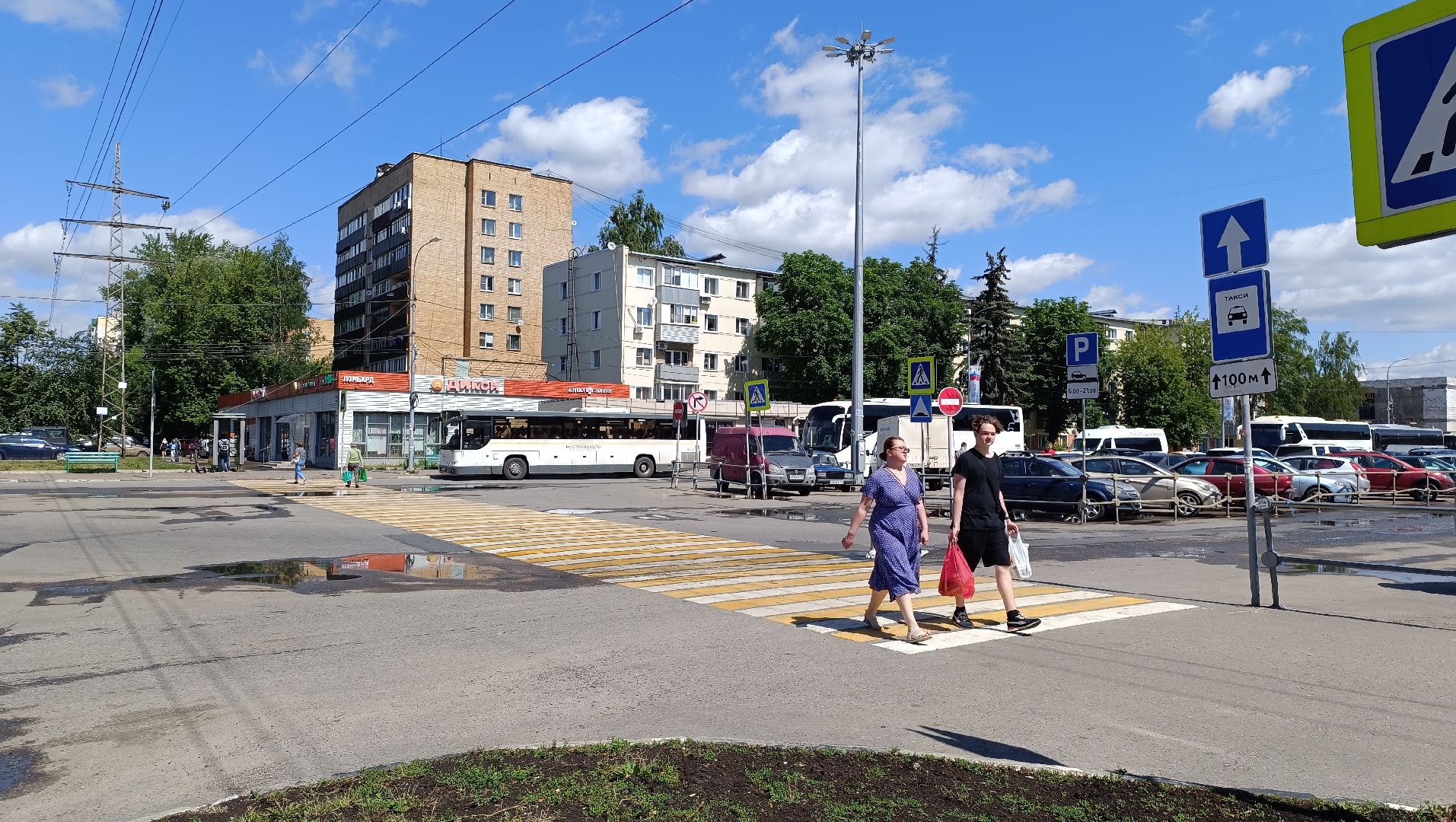 Лобня, дорога, пешеход