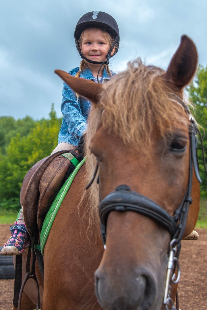 Vерность. Любовь. Zабота, СвоихНеБросаем, СемьиМобилизованных, СВО, КонныйКлубПелагея .лошади, кони, прогулка, прогулка верхом