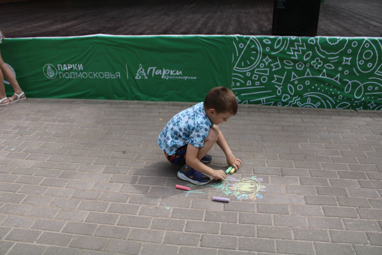 Парки,творчество,культура,дети, ромашка, цветы, лето в подмосковье,