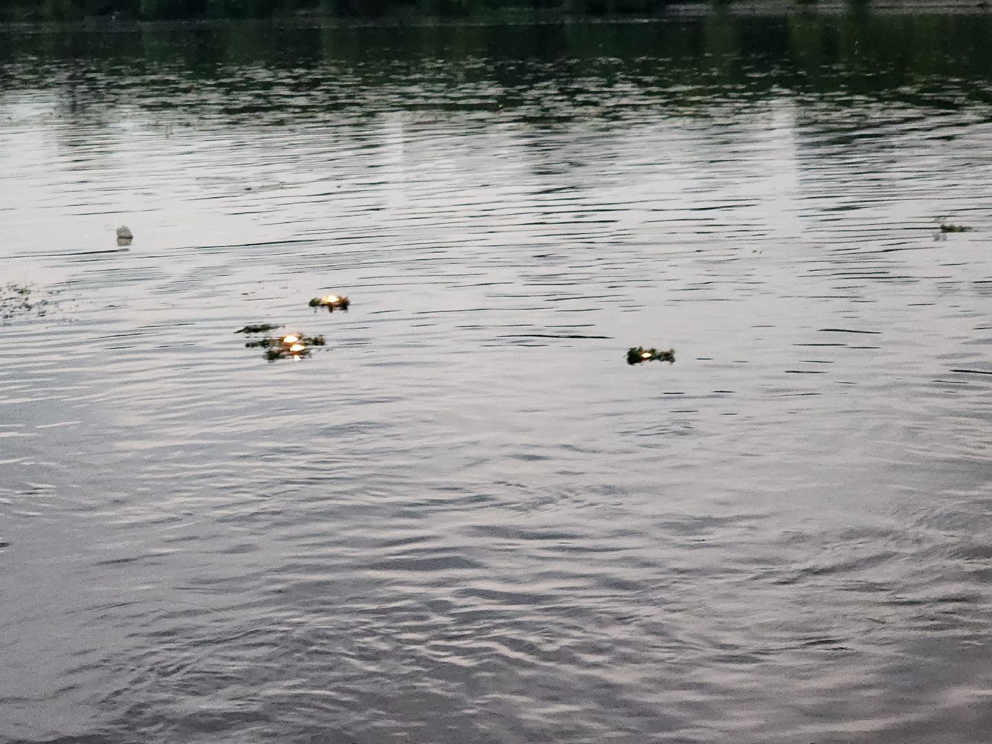 Долгопрудный, Ивана-Купала, обряд, огонь, венок