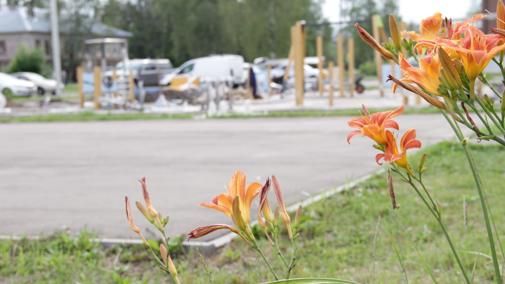 #Рошаль#благоустройство#ДИП#БольшаяШатура