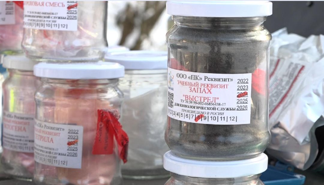 аэропорт, безопасность, Домодедово