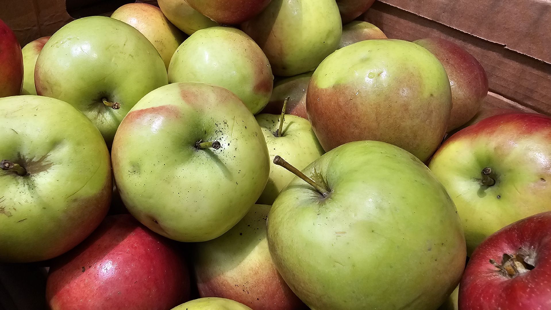 педиатрия, гигиена, кишечные инфекции, Котельники