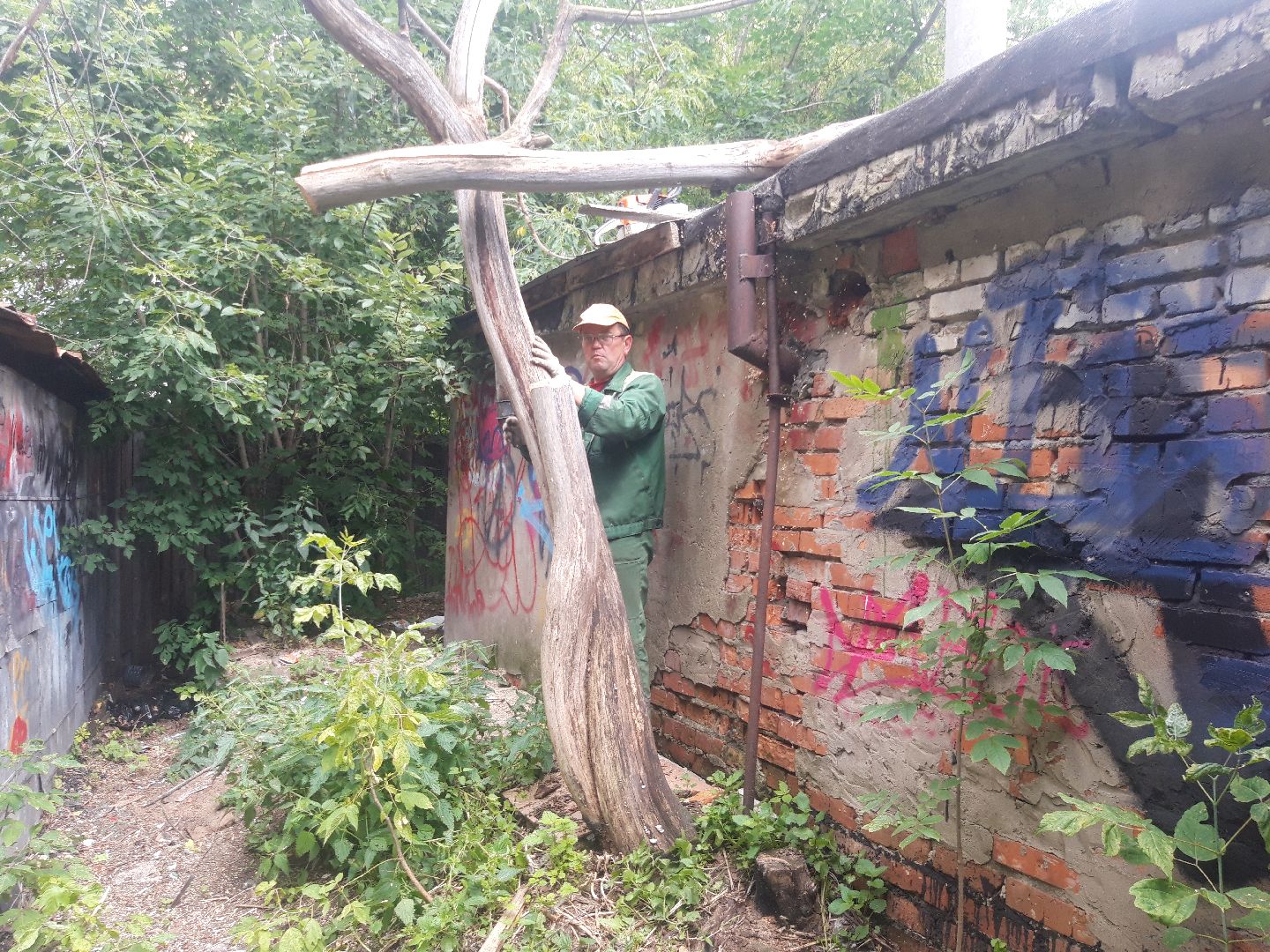 доброе дело, двор,