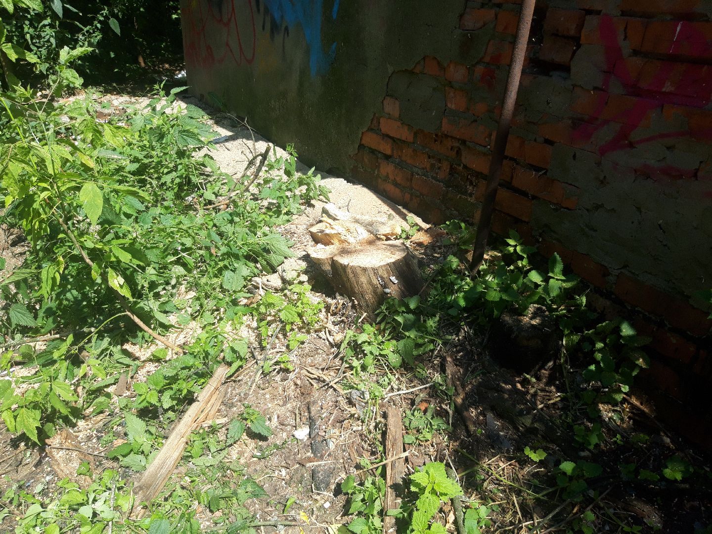 доброе дело, двор,