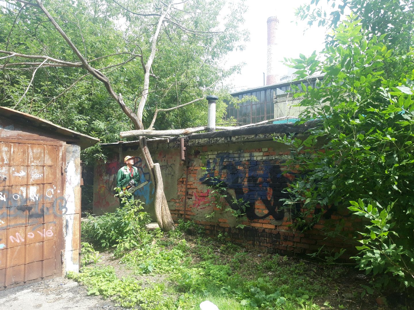 доброе дело, двор,