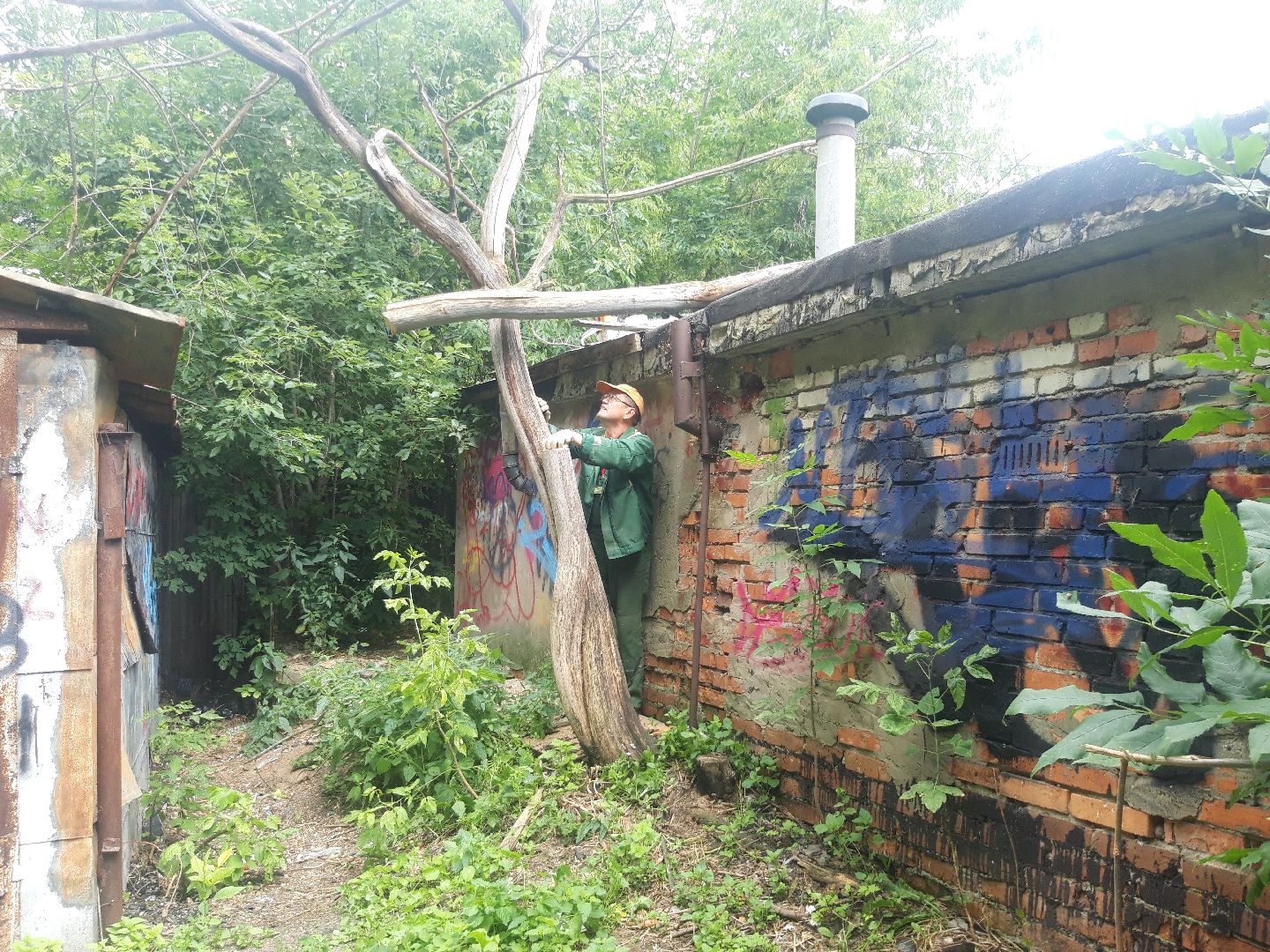 доброе дело, двор,