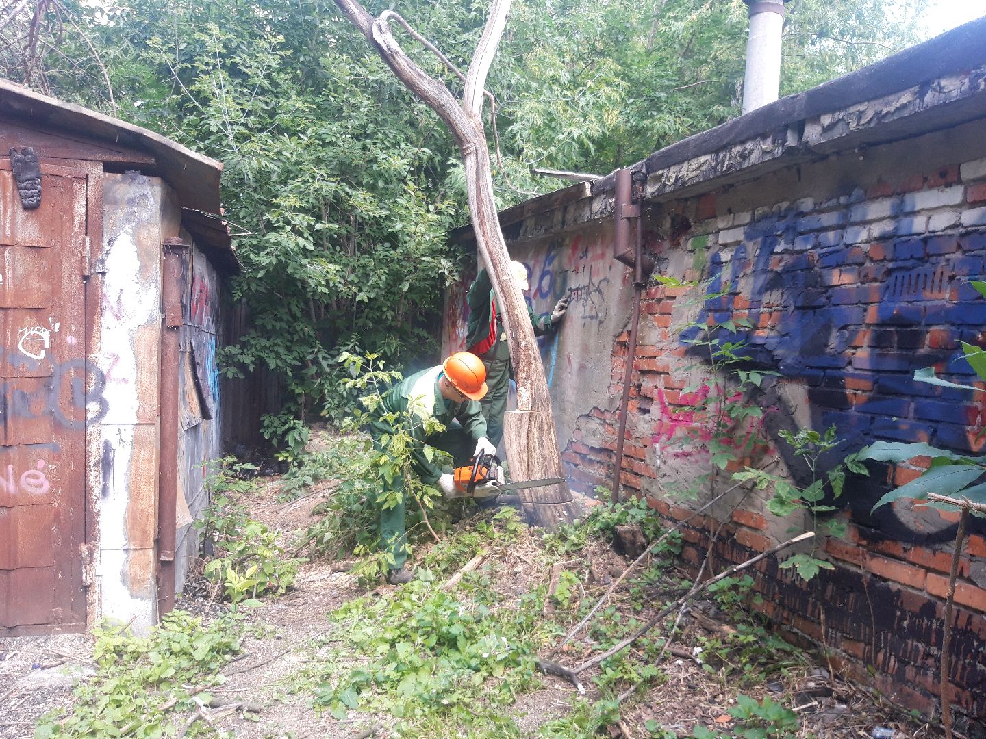 доброе дело, двор,