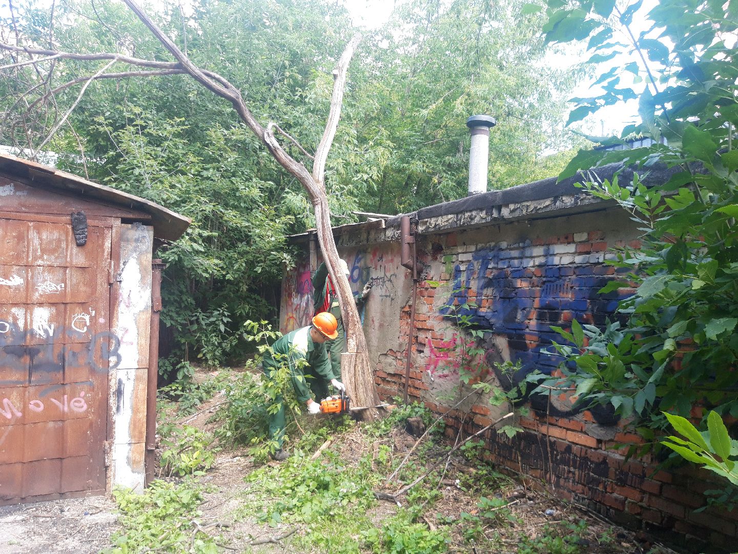 доброе дело, двор,