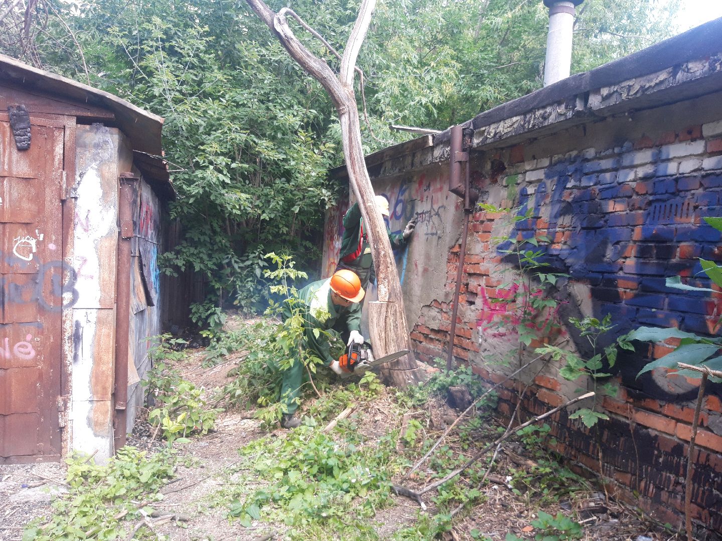 доброе дело, двор,