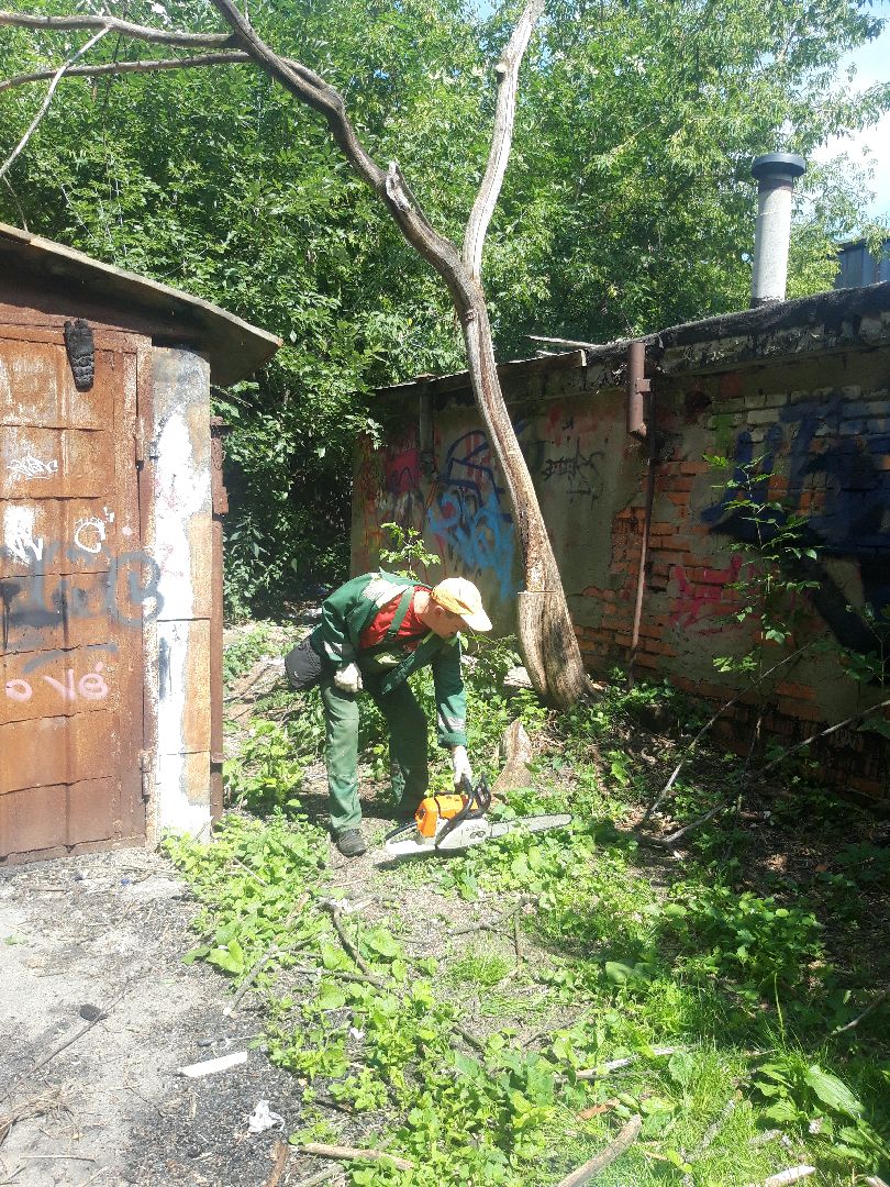 доброе дело, двор,