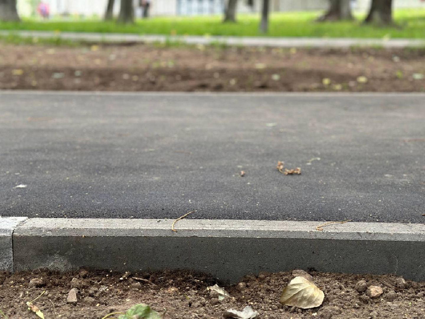 Реутов, народные тропы, тропинки, Пешком, программа