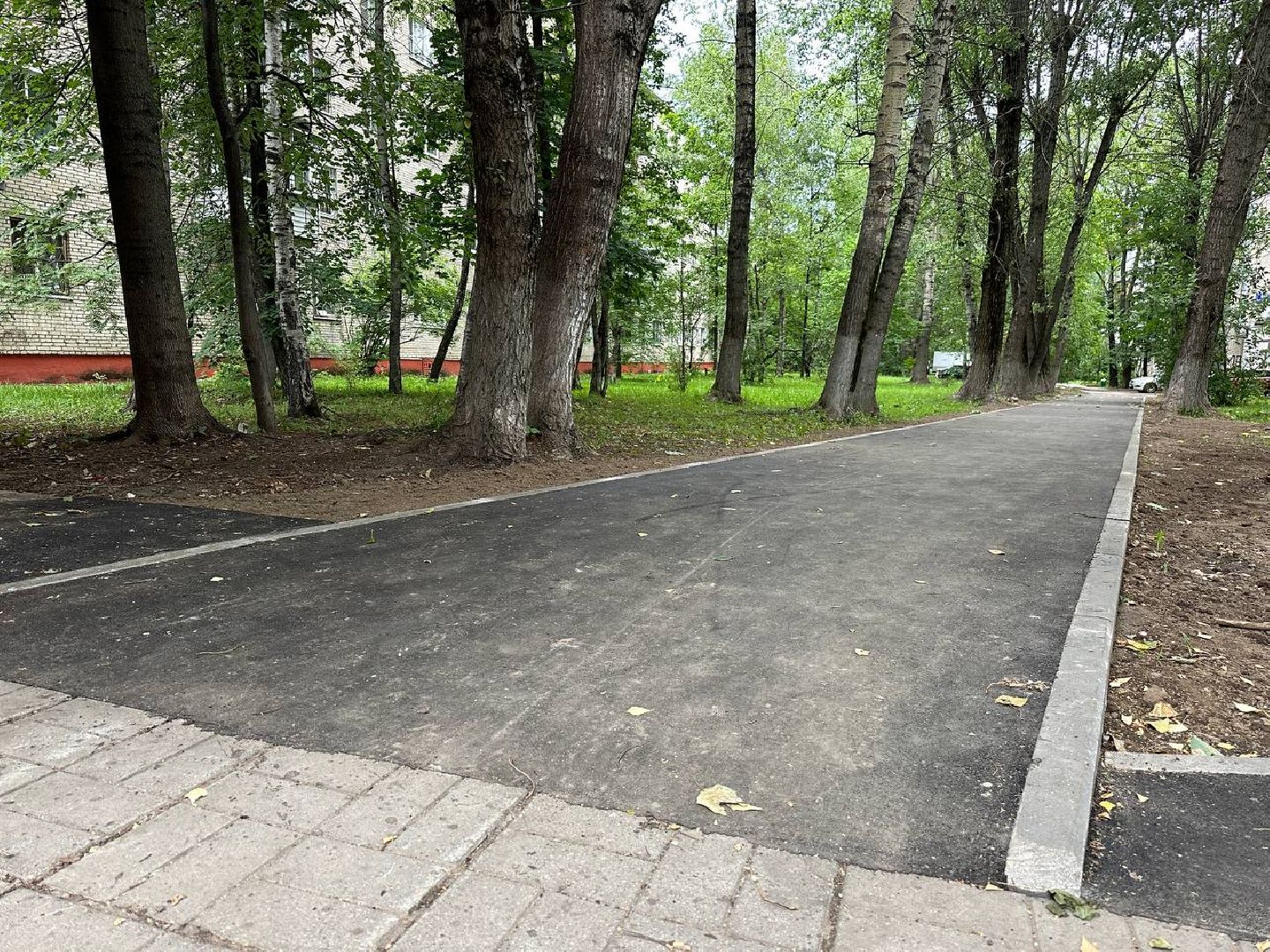 Реутов, народные тропы, тропинки, Пешком, программа