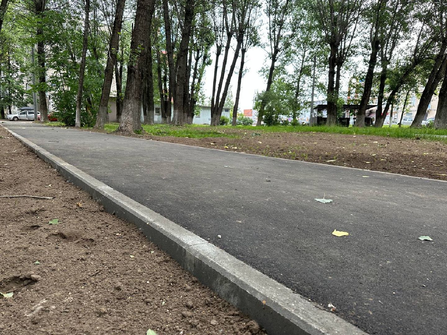 Реутов, народные тропы, тропинки, Пешком, программа