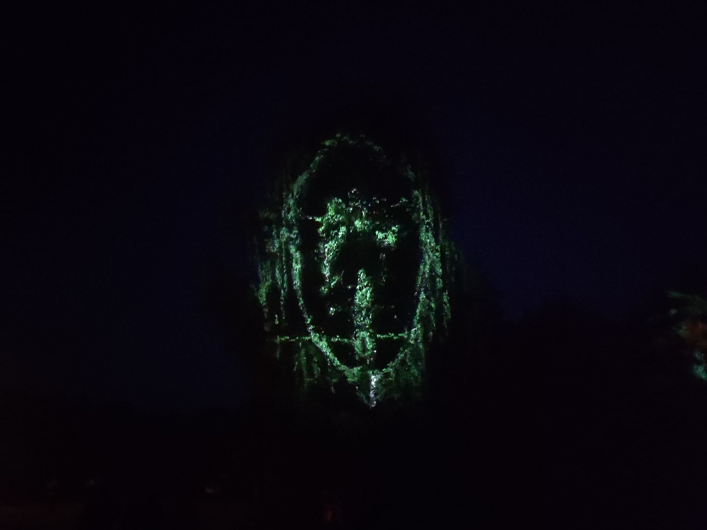 #outline, #талдомский округ, #фестиваль, #электроннаямузыка, #openair