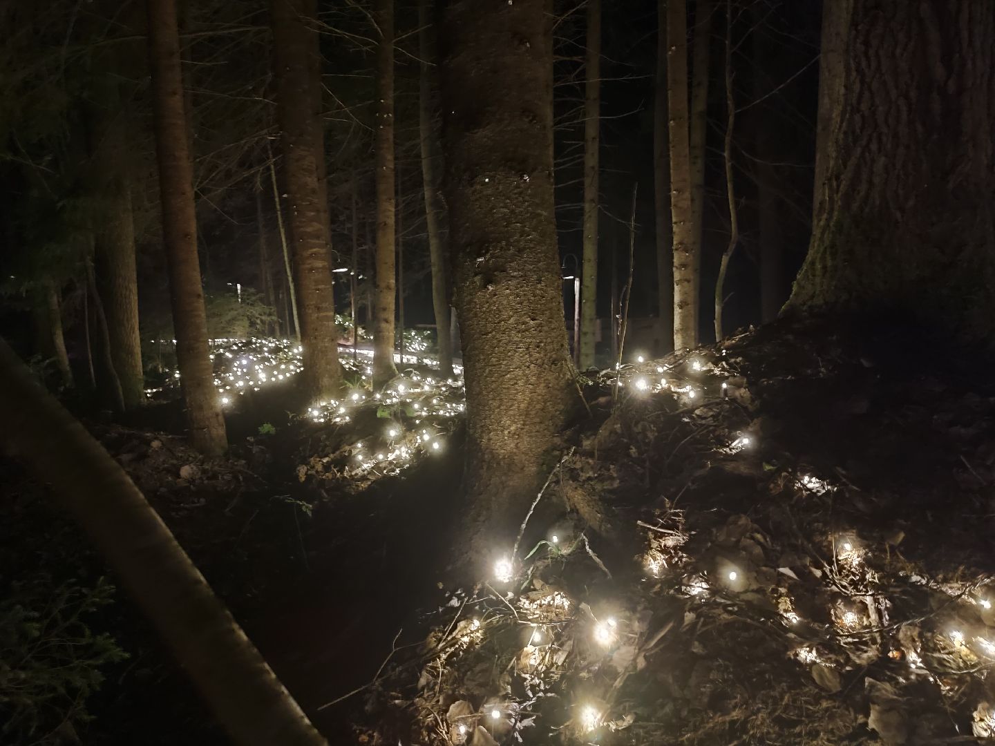 #outline, #талдомский округ, #фестиваль, #электроннаямузыка, #openair