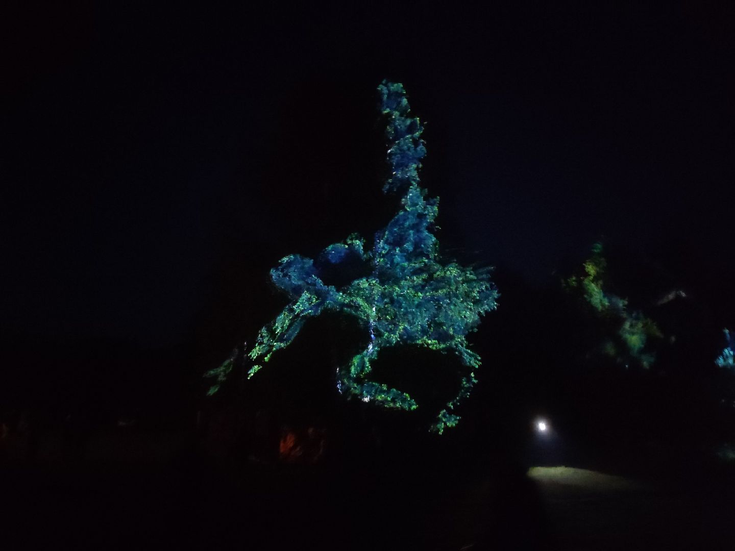 #outline, #талдомский округ, #фестиваль, #электроннаямузыка, #openair