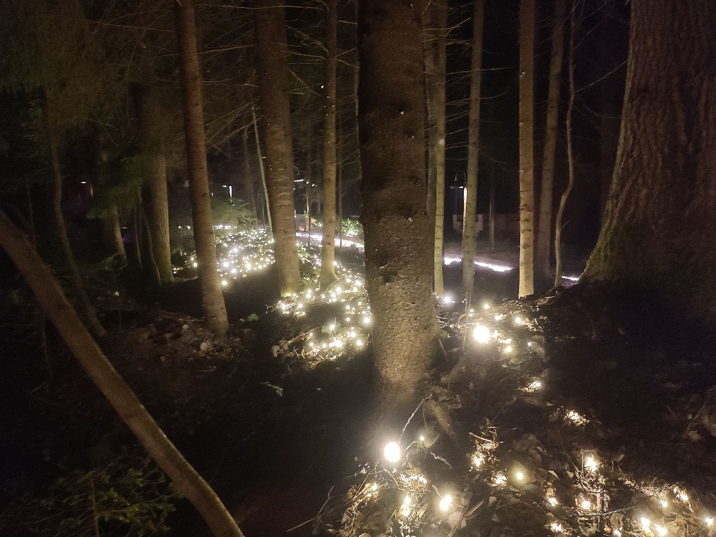 #outline, #талдомский округ, #фестиваль, #электроннаямузыка, #openair