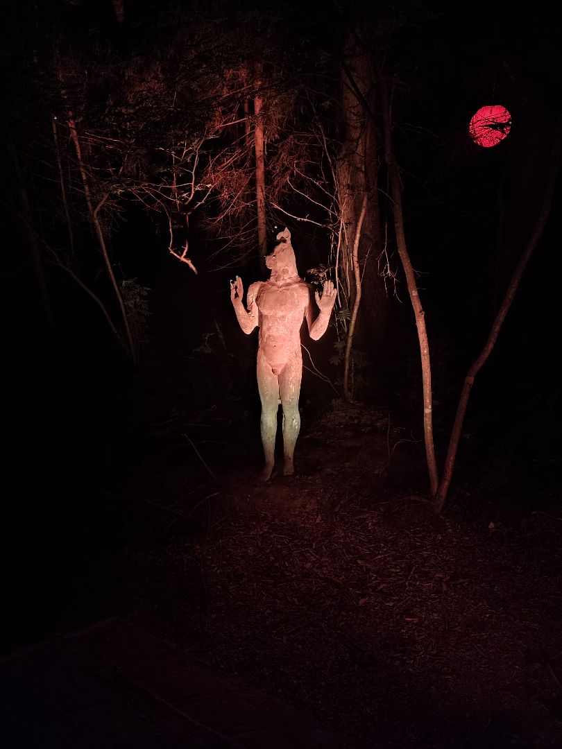 #outline, #талдомский округ, #фестиваль, #электроннаямузыка, #openair